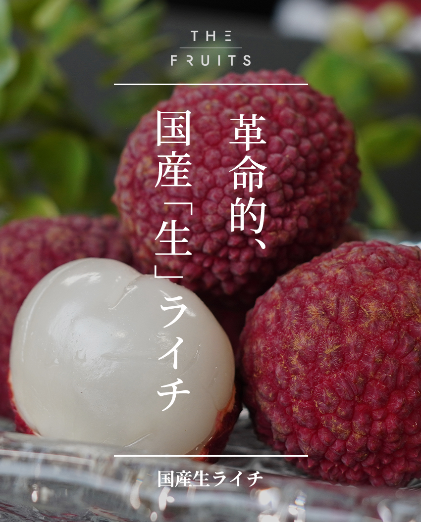 THE FRUITS 国産生ライチのイメージ