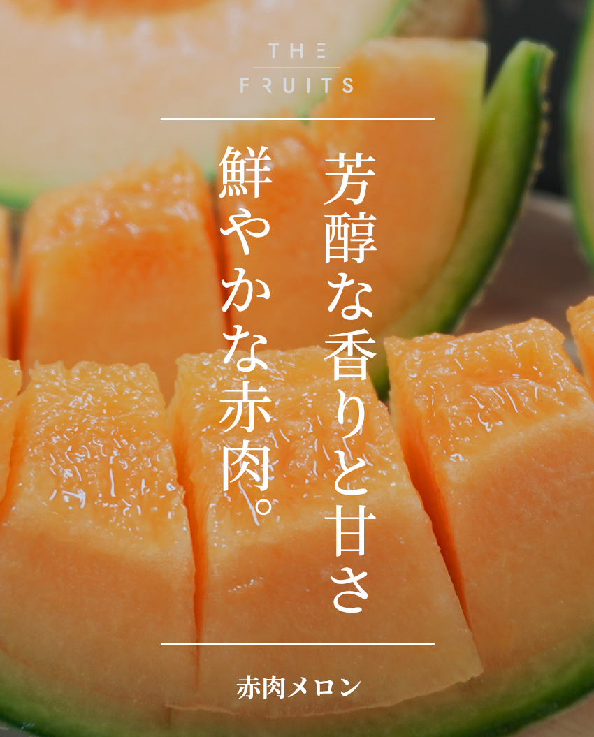 THE FRUITS 赤肉メロンのイメージ