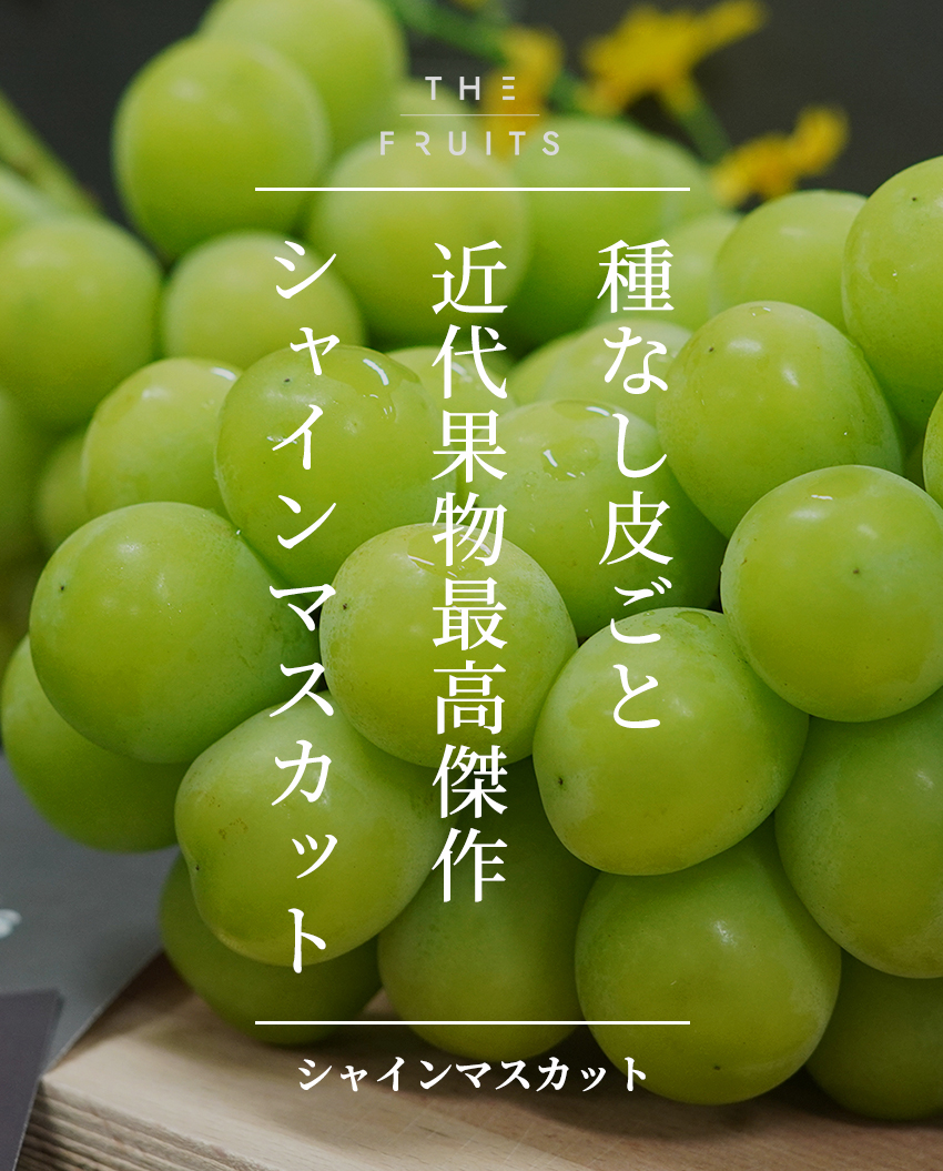 THE FRUITS シャインマスカットのイメージ