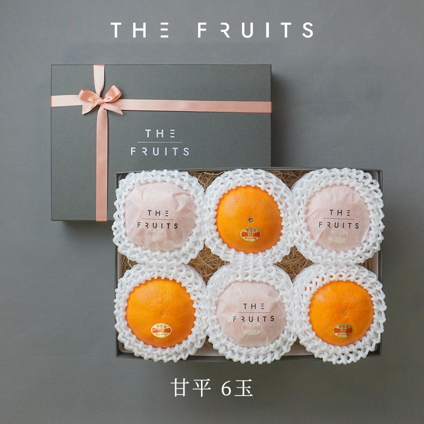 THE FRUITS 甘平のイメージ